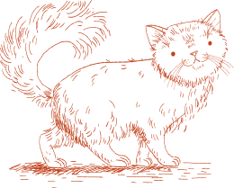 footer vector